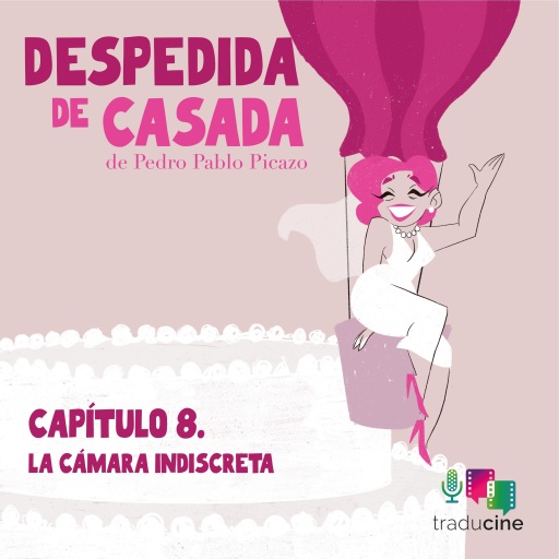 Despedida de Casada - Capítulo 8: La cámara indiscreta