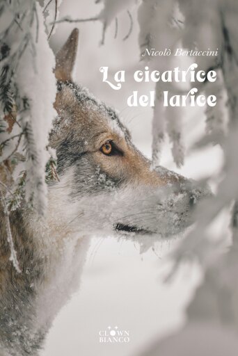 Portada del libro «La cicatrice del larice», de Nicolò Bertaccini