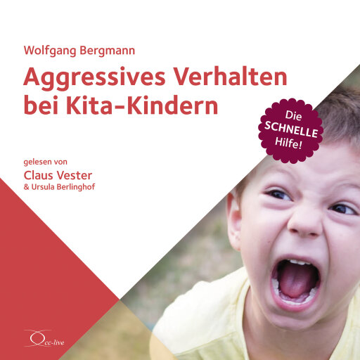Aggressives Verhalten bei Kita-Kindern
