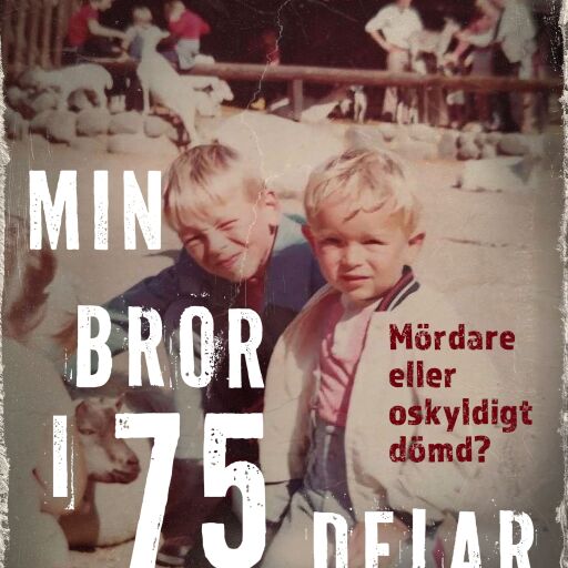 Portada del libro «Min bror i 75 delar», de Sebastian Richelsen