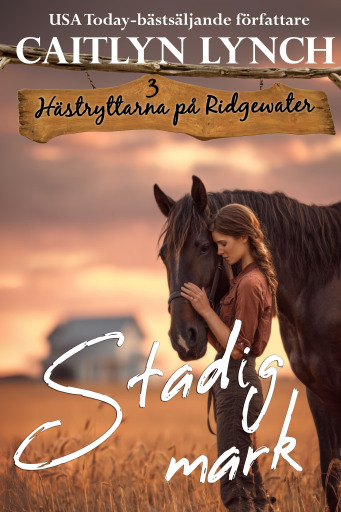 Portada del libro «Stadig mark», de Caitlyn Lynch