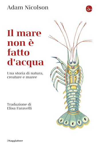 Il mare non è fatto di acqua