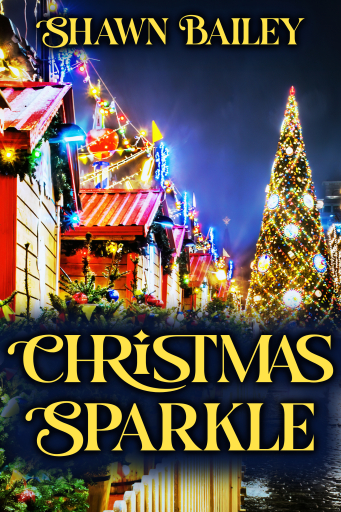 Portada del libro «Christmas Sparkle», de Shawn Bailey