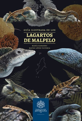 Guía ilustrada de los lagartos de Malpelo
