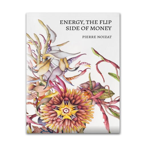 Portada del audiolibro «Energy, the flip side of money», de Pierre Noizat