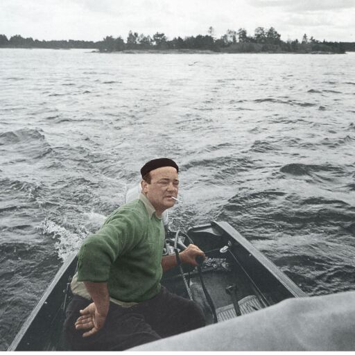 Portada del libro «Aldrig näcken», de Stieg Trenter