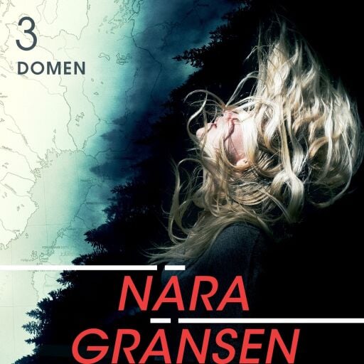 Portada del libro «Nära gränsen – Domen», de Daniel Åberg