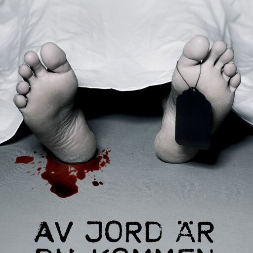 Portada del libro «Av jord är du kommen», de Marko Kilpi