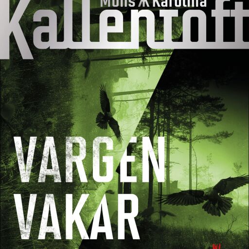 Portada del libro «Vargen vakar i mörkret», de Karolina Kallentoft, Mons Kallentoft
