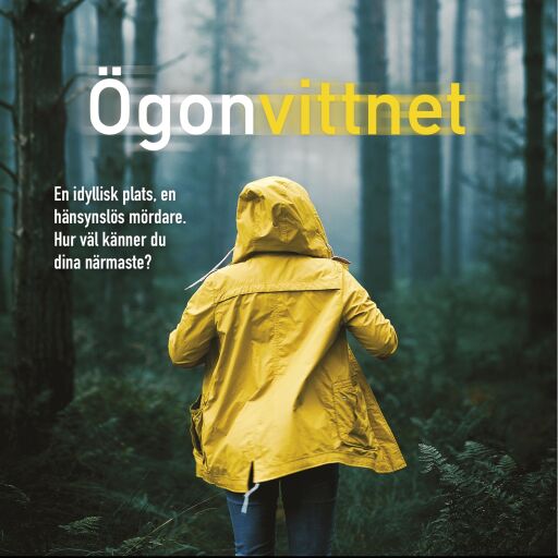 Portada del libro «Ögonvittnet», de Anna Bågstam