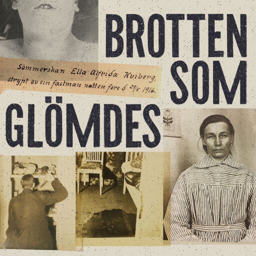 Brotten som glömdes - 10 kvinnliga offer och förövare i 1920-talets Stockholm