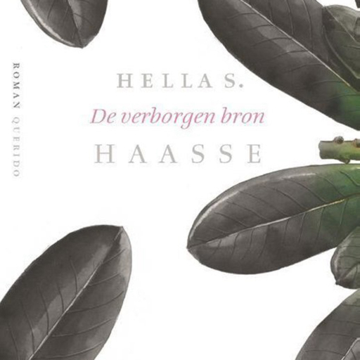 Portada del audiolibro «De verborgen bron», de Hella Haasse