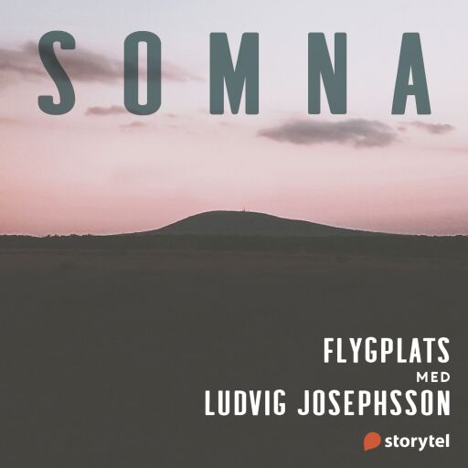 Portada del audiolibro «Flygplats», de Helena Kubicek Boye