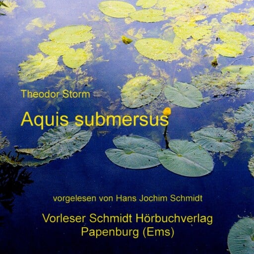Portada del audiolibro «Aquis submersus», de Theodor Storm