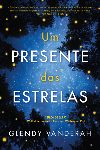Portada del libro «Um Presente das Estrelas», de Glendy Vanderah