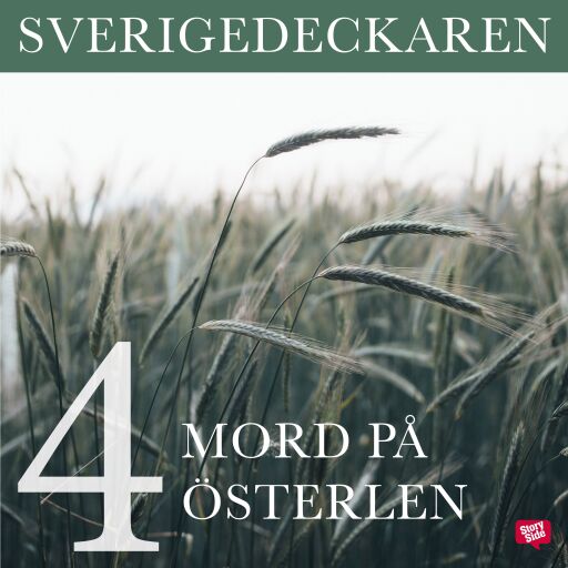Portada del audiolibro «Mord på Österlen», de Stig O. Blomberg