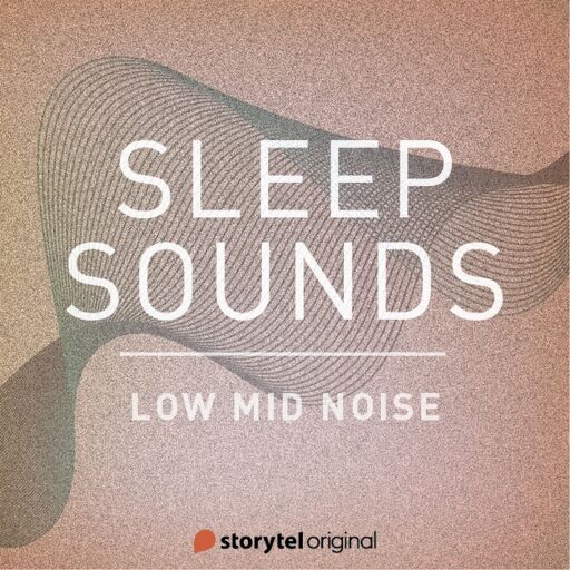 Portada del audiolibro «Low Mid Noise», de Patricio Samuelsson