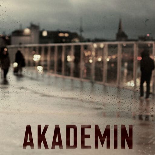 Portada del libro «Akademin 2 - Pojken som försvann», de Eva Maria Fredensborg