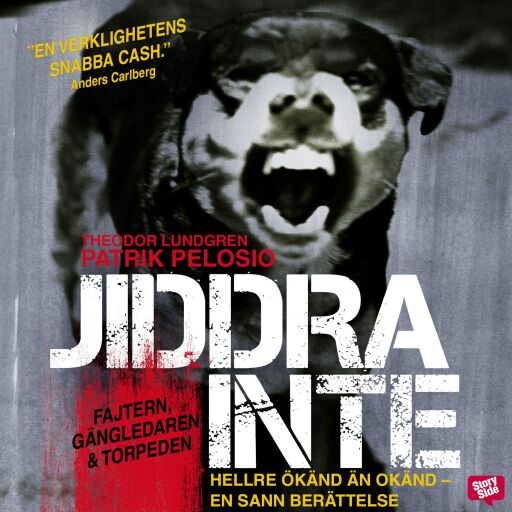 Portada del audiolibro «Jiddra inte», de Theodor Lundgren, Patrik Pelosio