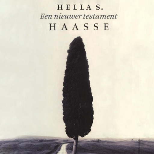 Portada del audiolibro «Een nieuwer Testament», de Hella Haasse