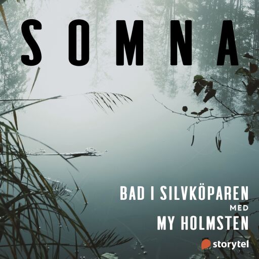 Portada del audiolibro «Bad i Silvköparen», de Helena Kubicek Boye