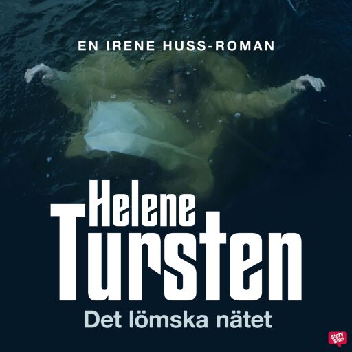 Portada del audiolibro «Det lömska nätet», de Helene Tursten