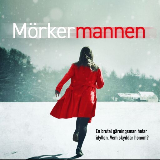 Portada del libro «Mörkermannen», de Anna Bågstam