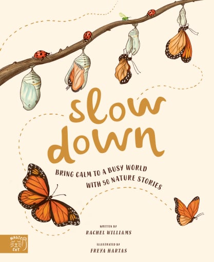 Portada del libro «Slow Down», de Rachel Williams