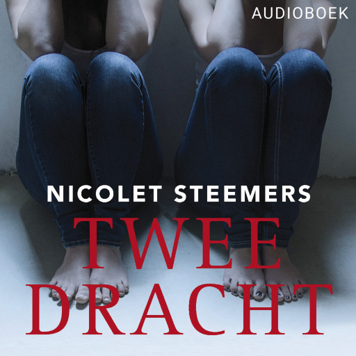Portada del audiolibro «Tweedracht», de Nicolet Steemers