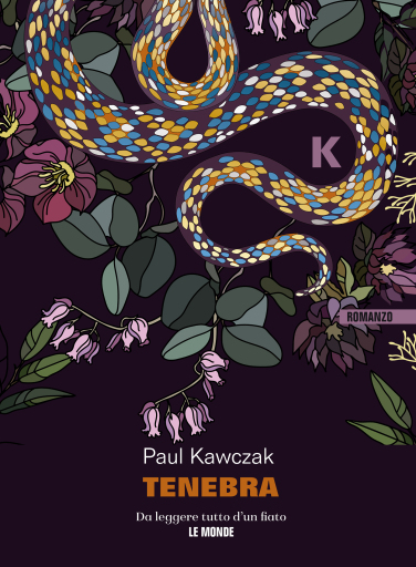 Portada del libro «Tenebra», de Paul Kawczak