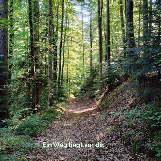 Portada del libro «Ein Weg liegt vor dir.», de Petra Fürst