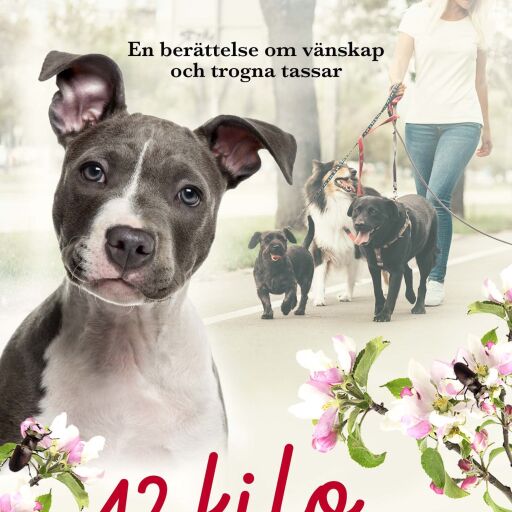 Portada del libro «42 kilo kärlek», de Felicia Welander