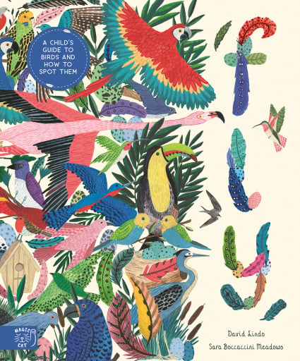 Portada del libro «Fly», de David Lindo, Sara Boccaccini Meadows