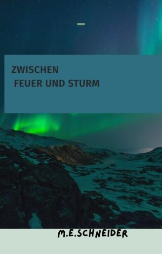 Portada del libro «Zwischen Feuer und Sturm», de Martina Eleonore Schneider