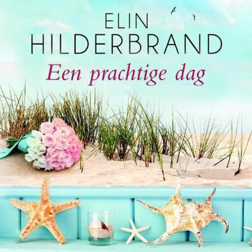 Portada del audiolibro «Een prachtige dag», de Elin Hilderbrand