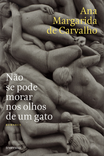 Não Se Pode Morar nos Olhos de Um Gato