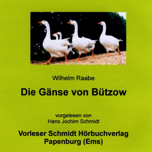 Portada del audiolibro «Die Gänse von Bützow», de Wilhelm Raabe