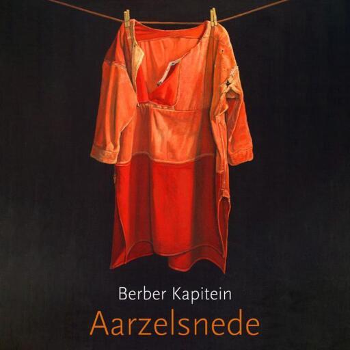 Aarzelsnede