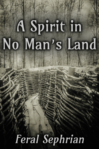 Portada del libro «A Spirit in No Man's Land», de Feral Sephrian