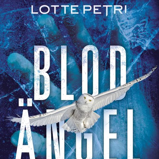 Portada del libro «Schamanen», de Lotte Petri