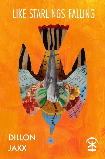 Portada del libro «like starlings falling», de Dillon Jaxx