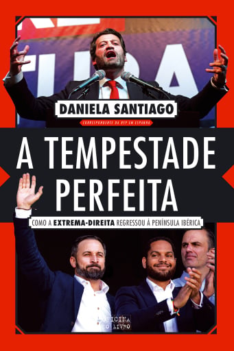 Portada del libro «A Tempestade Perfeita», de Daniela Santiago