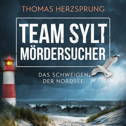 TEAM SYLT – MÖRDERSUCHER: Das Schweigen der Nordsee – Nordseekrimi Küstenkrimi (SYLT KRIMI - Fischer & Kalkhoff ermitteln)