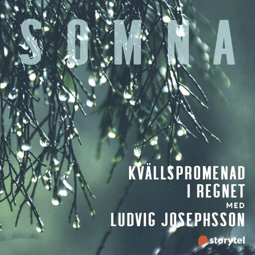 Portada del audiolibro «Kvällspromenad i regnet», de Helena Kubicek Boye
