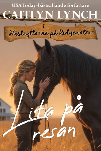 Portada del libro «Lita på resan», de Caitlyn Lynch