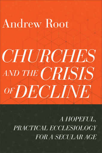 Churches and the Crisis of Decline (Ministry in a Secular Age Book #4)
