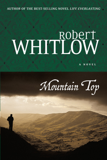 Mountain Top: A Novel of Legal Suspense