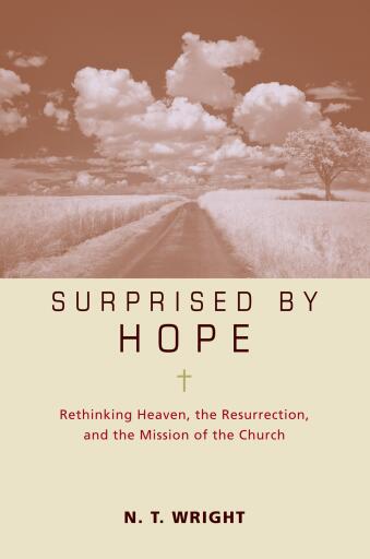 Surprised by Hope Participant's Guide: Rethinking Heaven, the Resurrection, and the Mission of the Church