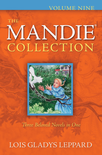 The Mandie Collection, Volume 9 : Volume 9