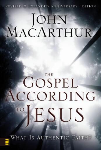 The Gospel According to Jesus: What Is Authentic Faith? / Enlarged